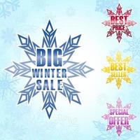 Big winter sale poster background vector
