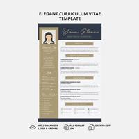 Elegant curriculum vitae template vector