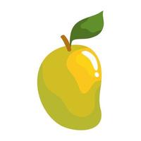 fresh mango fruit vector