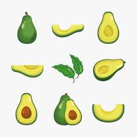 Iconos de verduras nueve aguacates vector