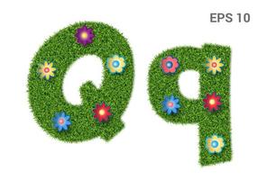 Qq - capital and capital letters of the alphabet with a texture of grass. Moorish lawn with flowers. Isolated on white background. Vector illustration