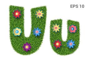 Uu - capital and capital letters of the alphabet with a texture of grass. Moorish lawn with flowers. Isolated on white background. Vector illustration