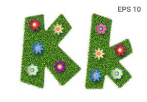 Kk - capital and capital letters of the alphabet with a texture of grass. Moorish lawn with flowers. Isolated on white background. Vector illustration