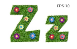 Zz - capital and capital letters of the alphabet with a texture of grass. Moorish lawn with flowers. Isolated on white background. Vector illustration