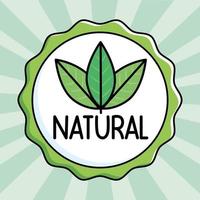 seal natural product vector