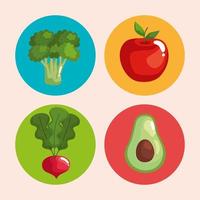 healthy food four vegetables vector