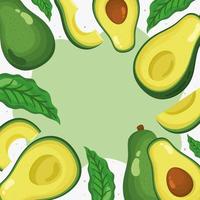 marco de aguacates frescos vector