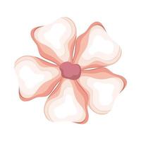 beautiful watercolour pink flower vector