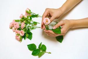 Close-up of woman florist's hand making bouquet of pink roses on a light table. photo