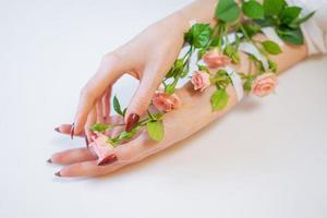 Women's beautiful hands with pink rose flowers on a white background photo
