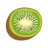 fresh kiwi fruit vector