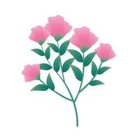 pink flowers with branches vector