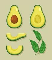 avocados vegetables five icons vector
