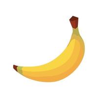 fresh banana fruit vector