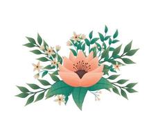 orange flowers with leaves vector