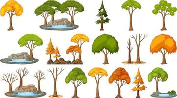 Set of four seasons trees on white background vector