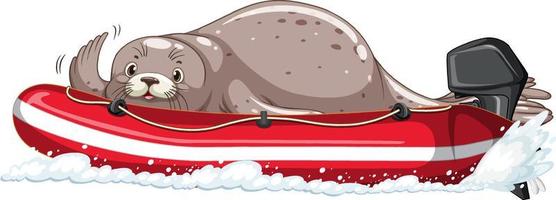 Seal on inflatable boat in cartoon style vector