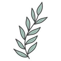 Vector doodle plant branch with leaves isolated