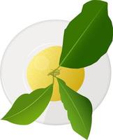 Half a lemon with leaves on a plate vector