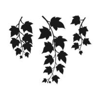 Set of silhouette ivy branch. Hand drawn illustration converted to vector. vector