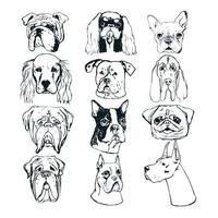 Hand drawn dog portraits on white background. vector