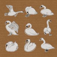 cisnes dibujados a mano en diferentes poses para su diseño. vector