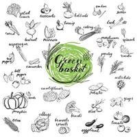 Vegetables hand drawn sketches. vector