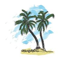 Palm trees and blue sky. vector