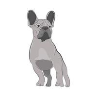 Purebred canine hand drawn illustration. vector