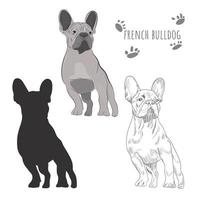 Dog silhouette and hand drawn sketch of purebred canine. vector