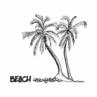 Palm trees hand drawn outline sketch. vector