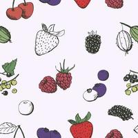 Berries seamless pattern. Vintage hand drawn berries sketches. vector