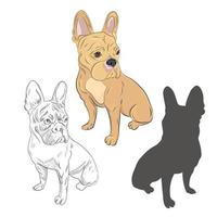 perro de pura raza en tres estilos diferentes como boceto dibujado a mano, silueta e ilustración en color. vector