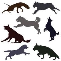 Silhouettes of different dog breeds. vector