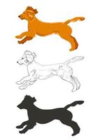 cocker spaniel corriendo en tres estilos diferentes aislados sobre fondo blanco. vector