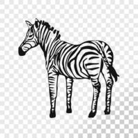 Zebra sketch isolated on transparent background. vector