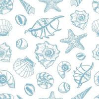 Shell and star fish seamless pattern. vector