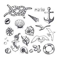 Marine topic hand drawn elements isolated on white background. vector