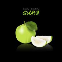 Fresh guava on black background with reflections for print illustration. vector