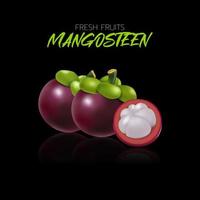 Mangosteen on a black background with reflections for illustrations and printing. vector