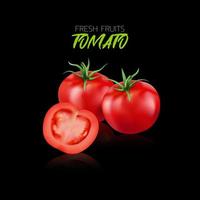 Fresh tomatoes on black background with reflections for illustration. vector