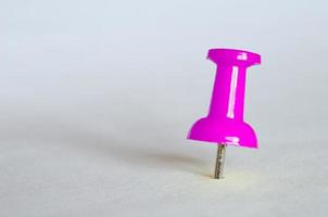 Pink push pin. Closeup photography of pink thumbtack photo