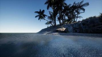 isla tropical de maldivas en el océano video