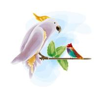 cockatoo and bird vector