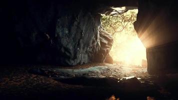 big dark cave and sun light from jungle forest video