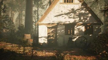 antigua casa de madera en el bosque de otoño video