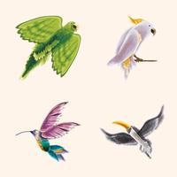 set of watercolor birds vector