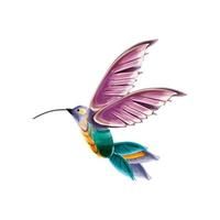 colibrí ave acuarela vector