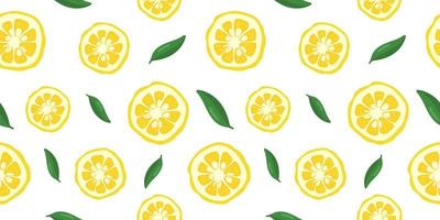 Yuzu japanese citron fruit seamless pattern vector illustration isolated on white background.