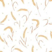 Seamless pattern with whole grain seeds organic, natural ears isolated on white background. vector